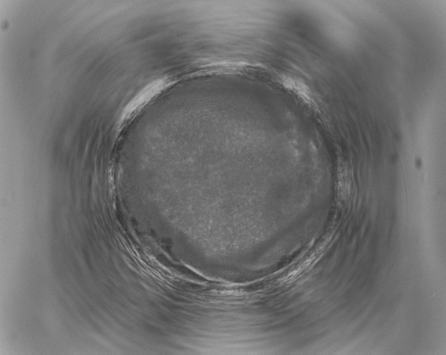 X0000058761354200510211647