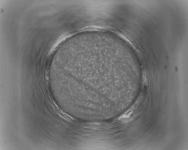 X0000058761355200510211647