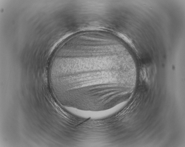 X0000058761356200510211647