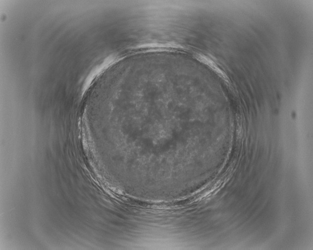 X0000058761357200510211647