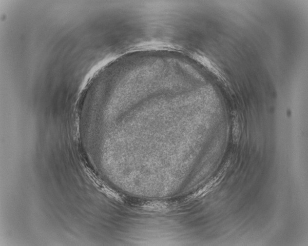 X0000058761358200510211647