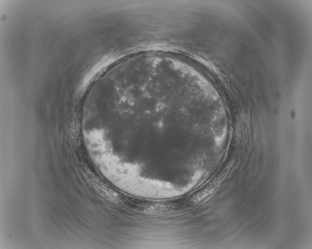 X0000058761359200510211647