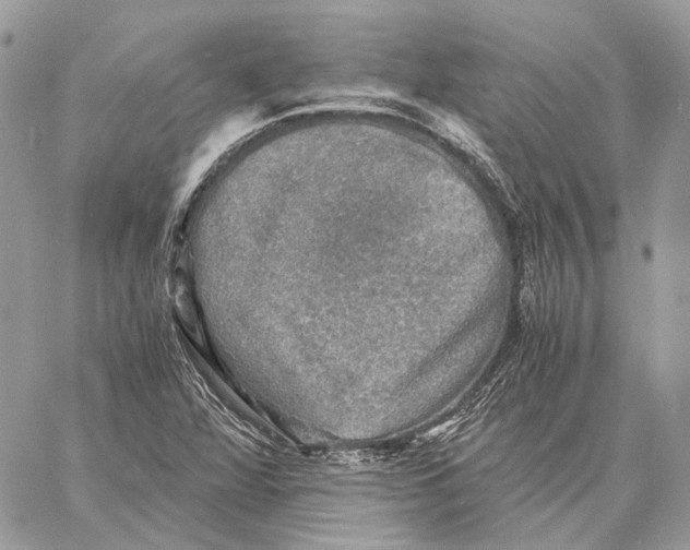 X0000058761360200510211647