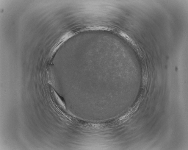 X0000058761361200510211647