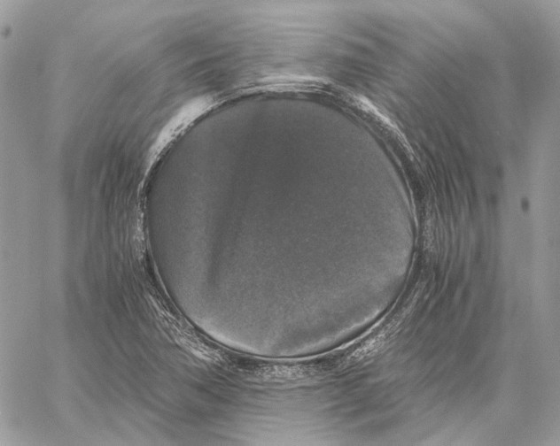 X0000058761362200510211647