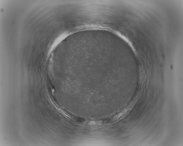 X0000058761365200510211647