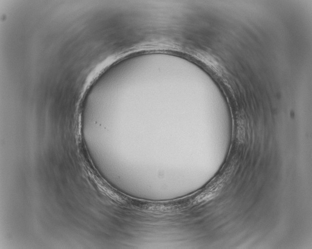 X0000058761366200510211647