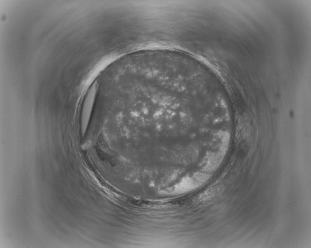 X0000058761367200510211647