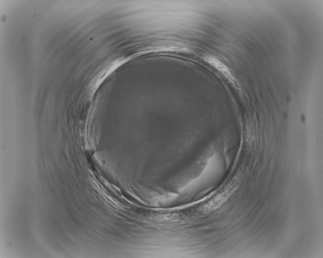 X0000058761369200510211647