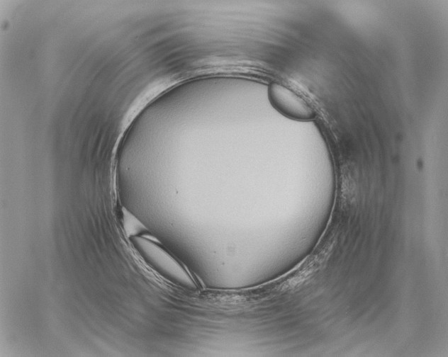 X0000058761370200510211647