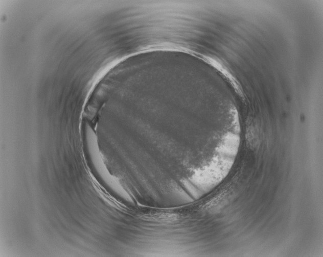 X0000058761372200510211647