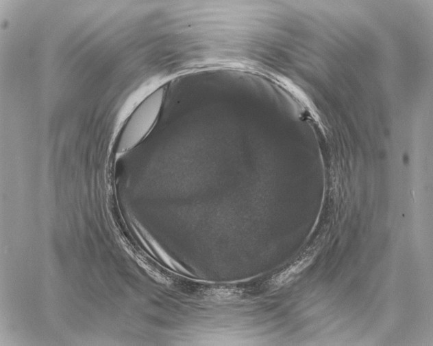 X0000058761373200510211647