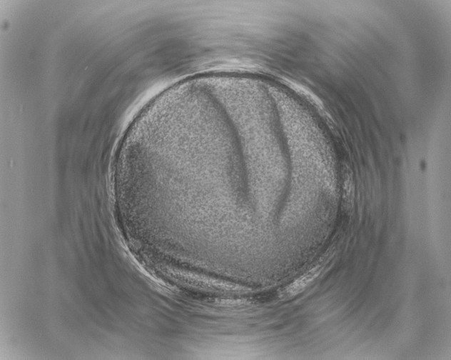 X0000058761375200510211647