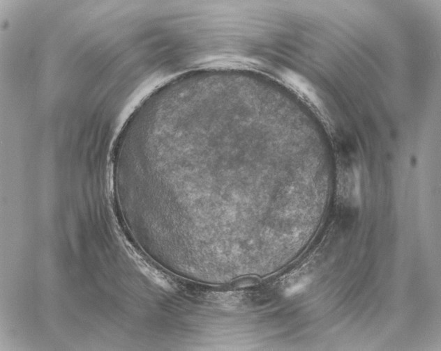 X0000058761376200510211647