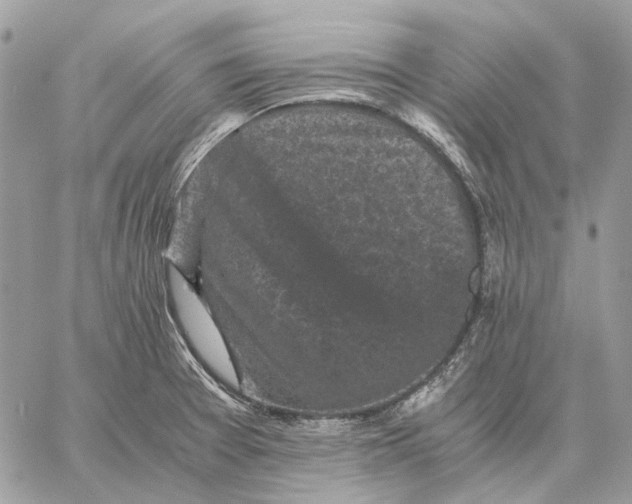 X0000058761377200510211647