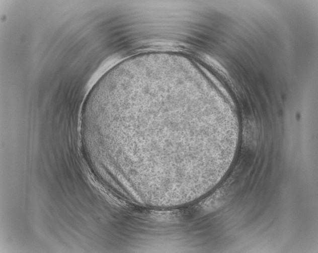 X0000058761378200510211647