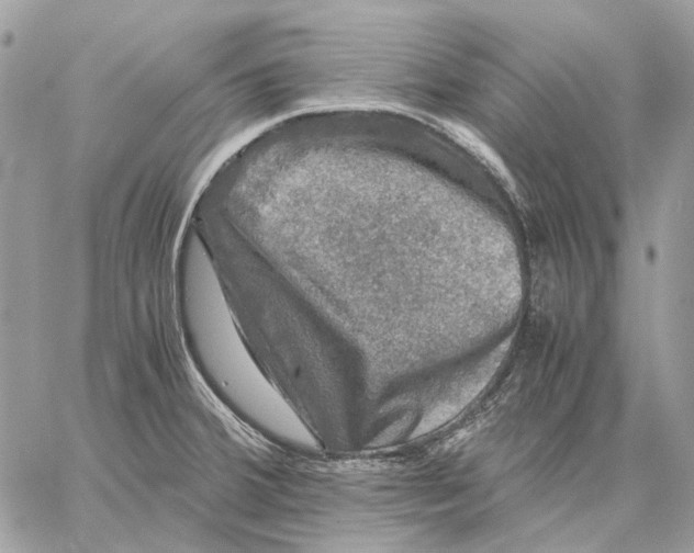 X0000058761380200510211647