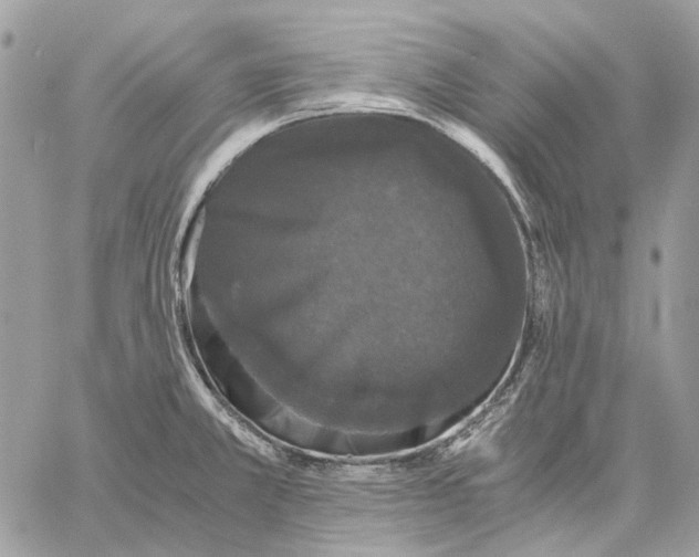 X0000058761381200510211647