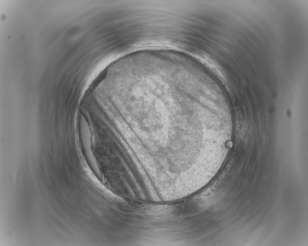 X0000058761382200510211647