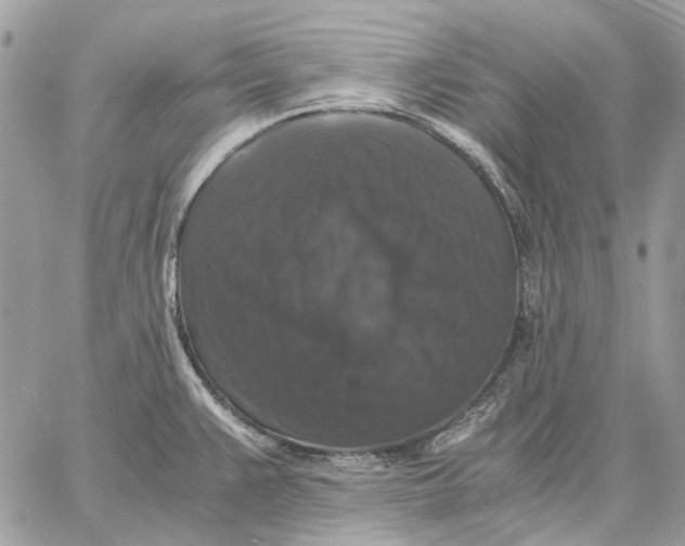 X0000058761383200510211647