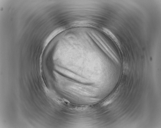 X0000058761386200510211647