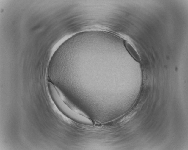 X0000058761387200510211647