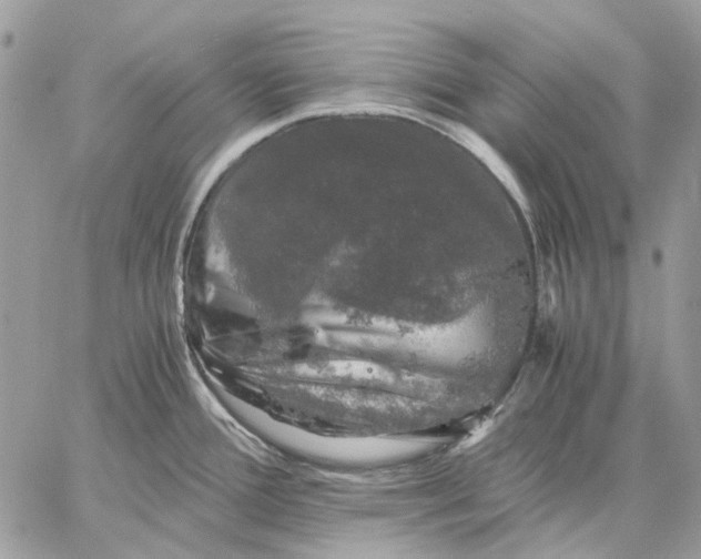 X0000058761388200510211647