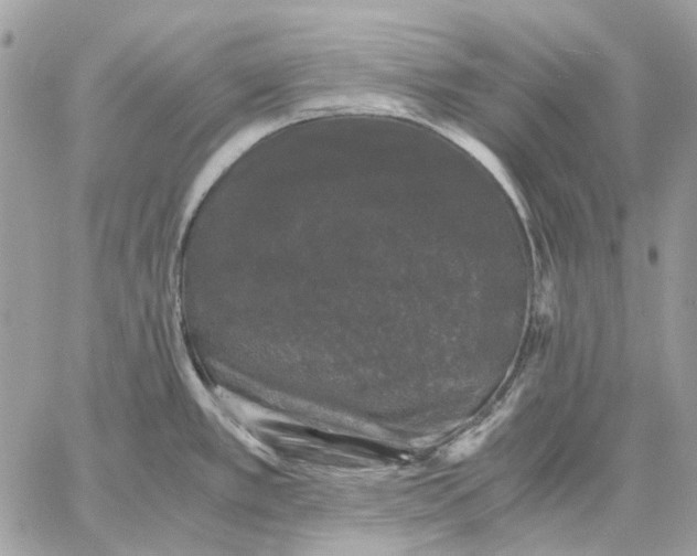 X0000058761389200510211646