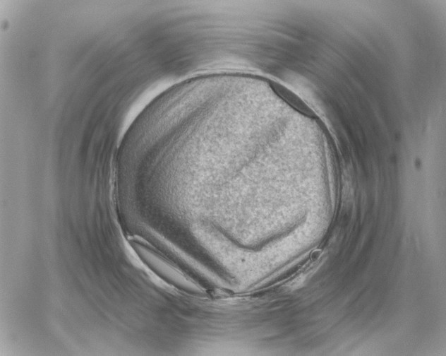 X0000058761390200510211646