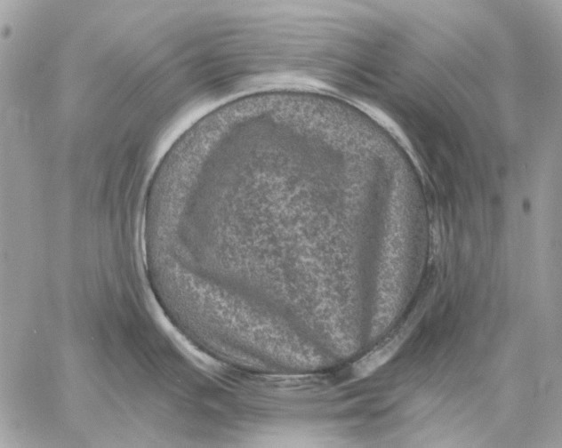 X0000058761391200510211646