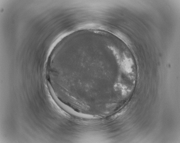 X0000058761392200510211646