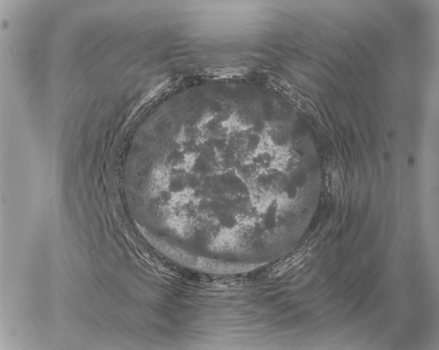 X0000058761393200510211646