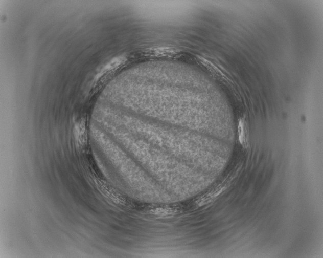 X0000058761395200510211646