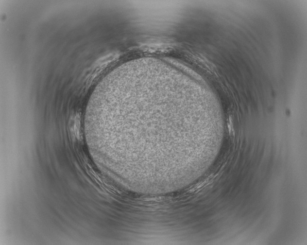 X0000058761396200510211646