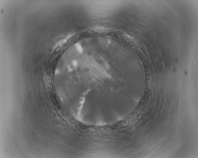 X0000058761397200510211646