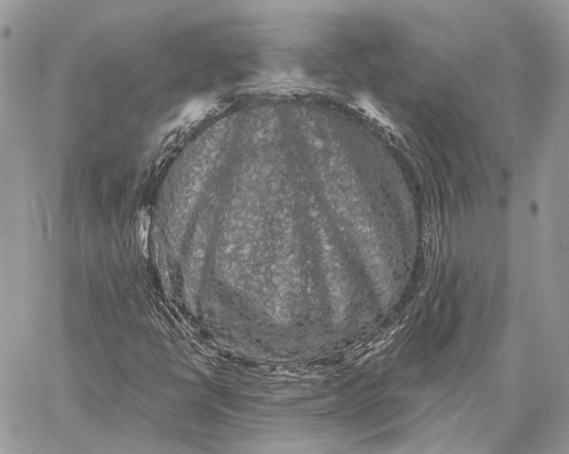 X0000058761398200510211646