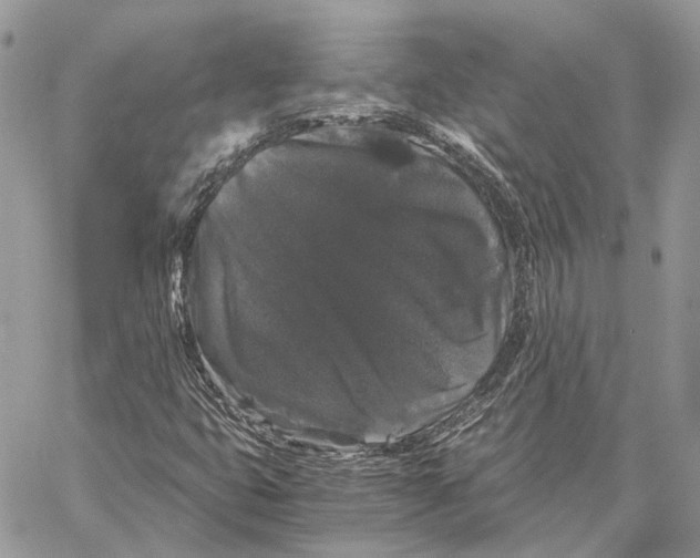 X0000058761399200510211646