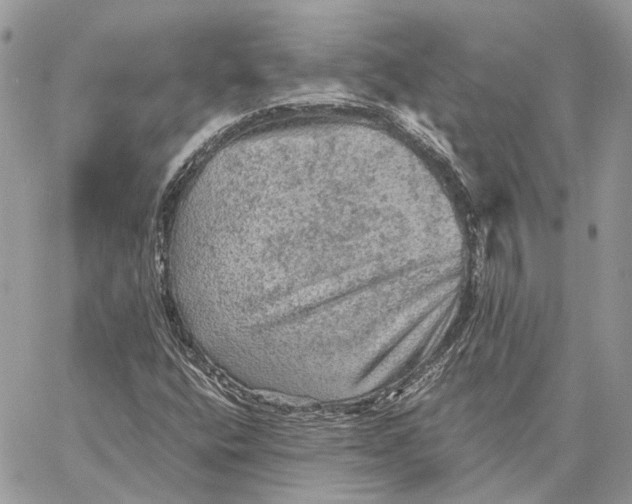 X0000058761400200510211646