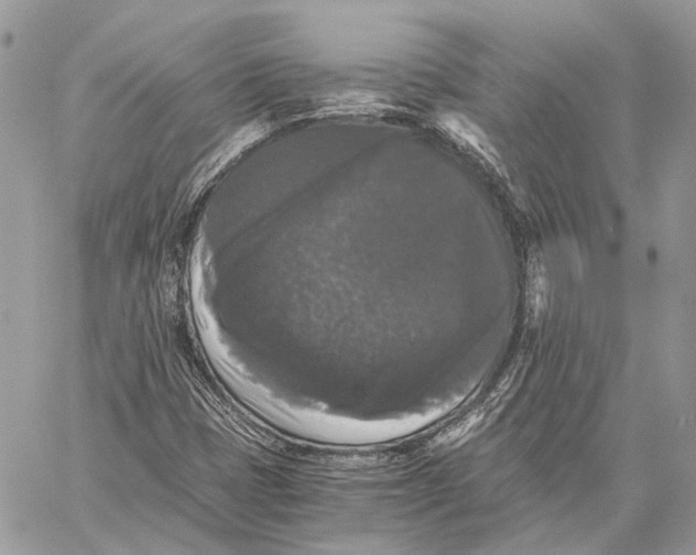 X0000058761401200510211646