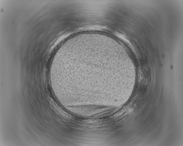 X0000058761404200510211646