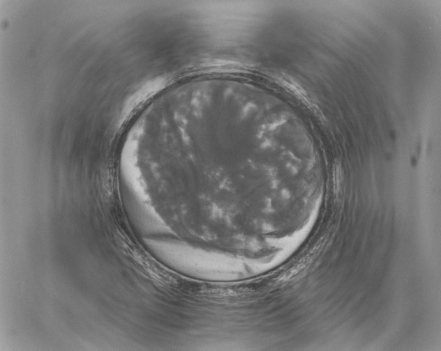 X0000058761405200510211646