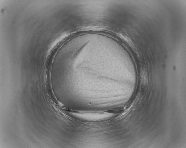 X0000058761406200510211646