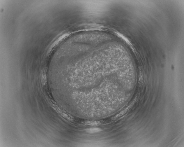 X0000058761407200510211646