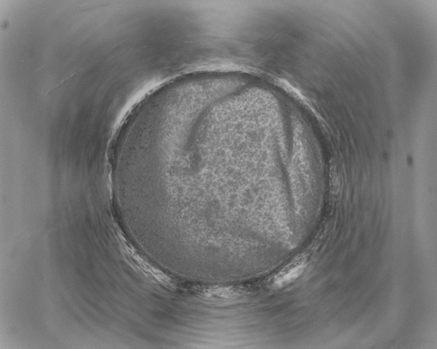 X0000058761408200510211646