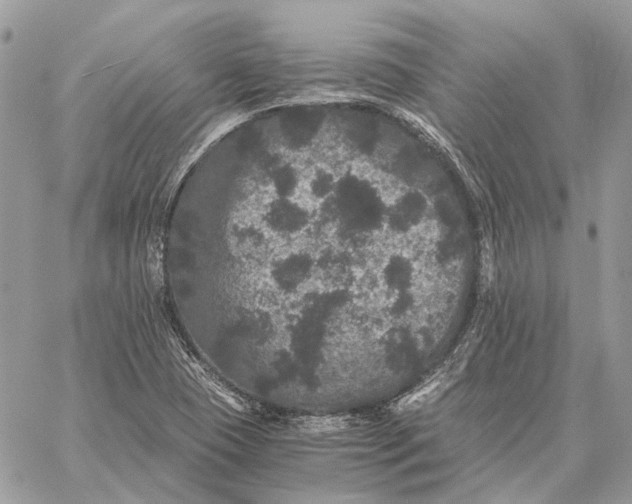 X0000058761409200510211646