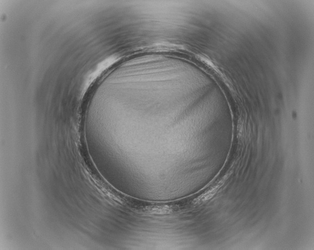 X0000058761410200510211646