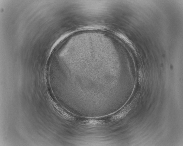 X0000058761412200510211646