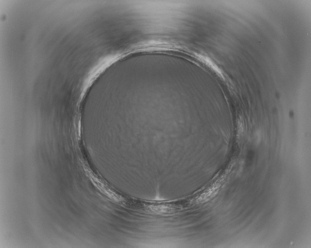 X0000058761413200510211646