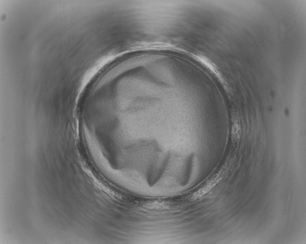 X0000058761414200510211646