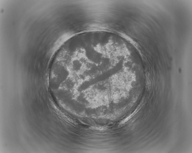 X0000058761415200510211646